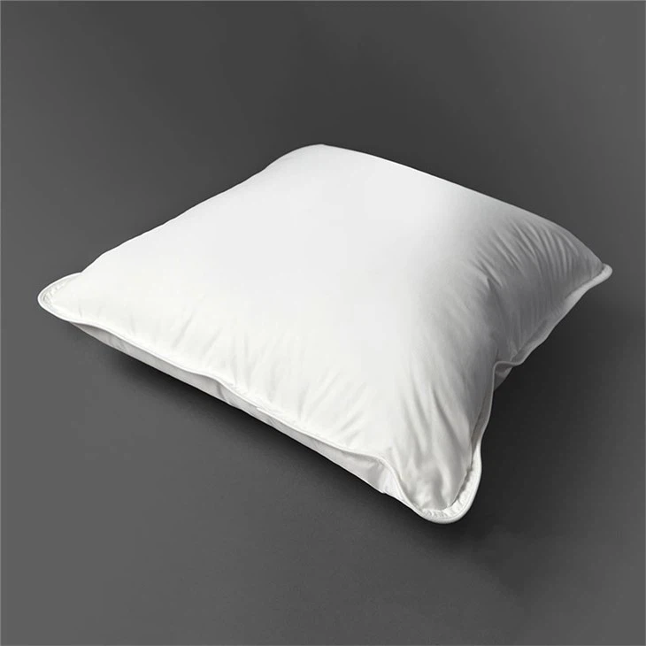 Luxury Hotel Cushion